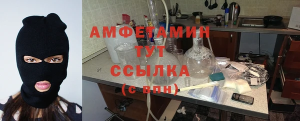 шишки Нягань