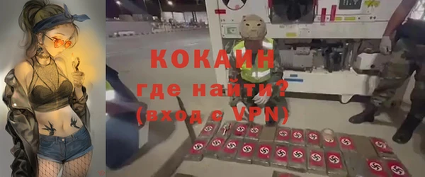 шишки Нягань