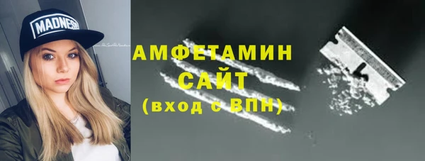 шишки Дмитровск