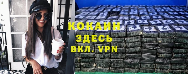 шишки Нягань