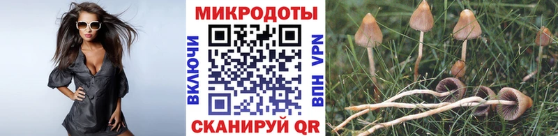 Галлюциногенные грибы прущие грибы  Аксай 