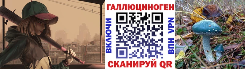 Галлюциногенные грибы Psilocybine cubensis Аксай