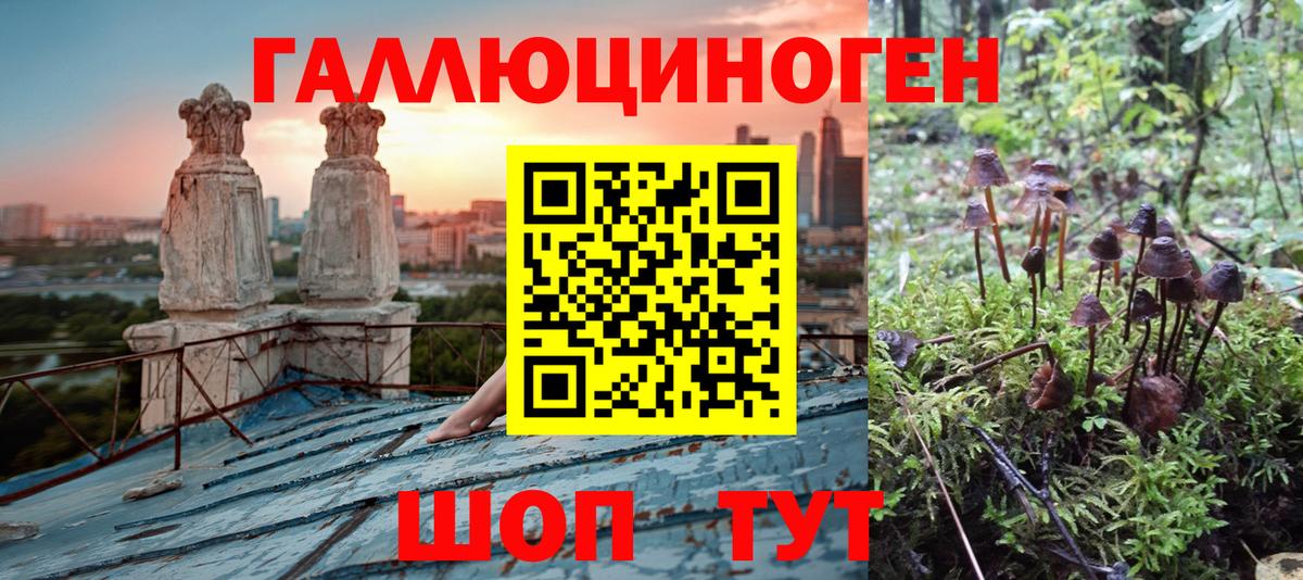 Галлюциногенные грибы ЛСД Аксай