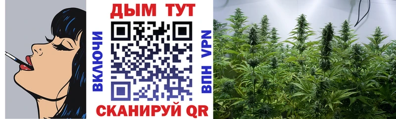 дарнет шоп  Аксай  Марихуана тримм 